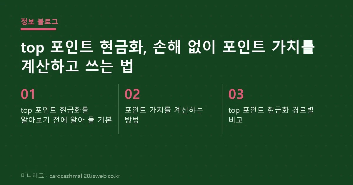 top 포인트 현금화 핵심 내용 요약