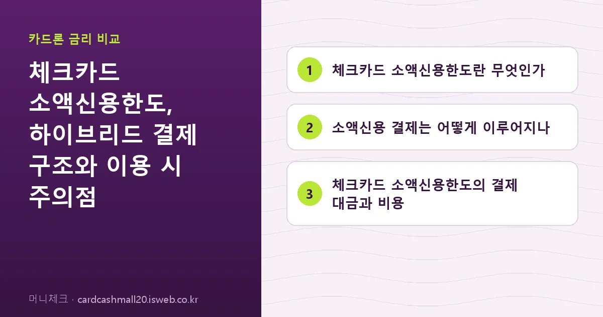 체크카드 소액신용한도 핵심 내용 요약
